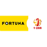 tournament-logo